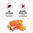 thumbnail image 2 of Beyond Superfood Blend Wild Caught Salmon, Egg & Pumpkin Recipe, Dry Dog Food 10.2kg, 2 of 9