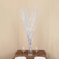 thumbnail image 2 of Efavormart 6 Pack Metallic Silver Decorative Birch Tree Branches, Extra Long Natural Dried Willow Twigs Sticks Vase Fillers - 46", 2 of 5