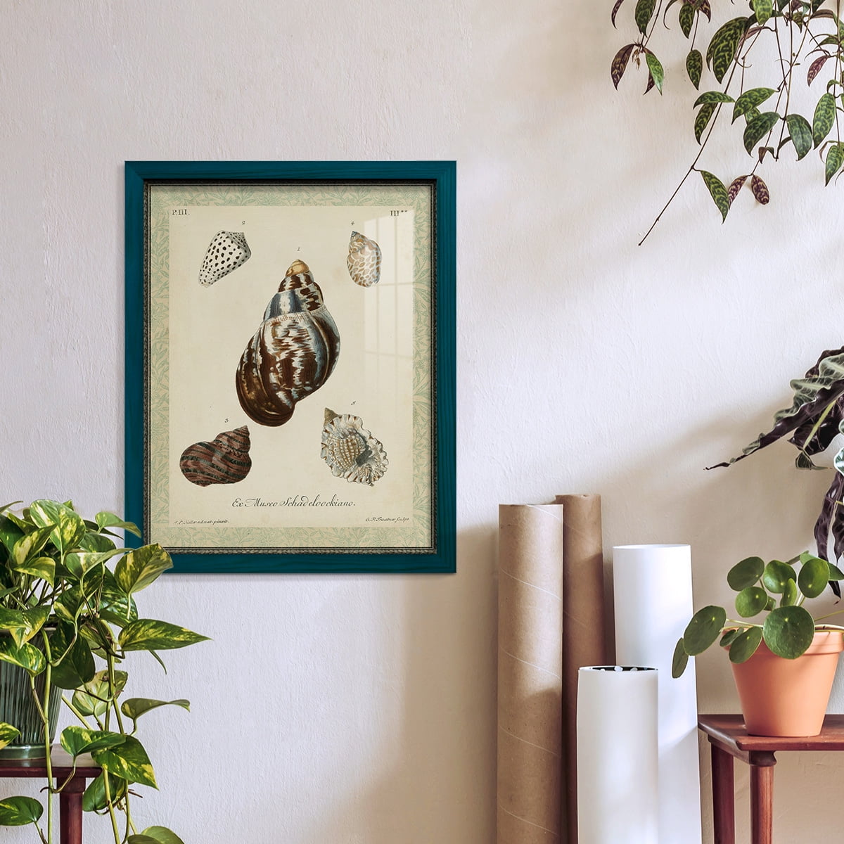 Bookplate Shells VII - Framed Print w/glass - Ocean Blue