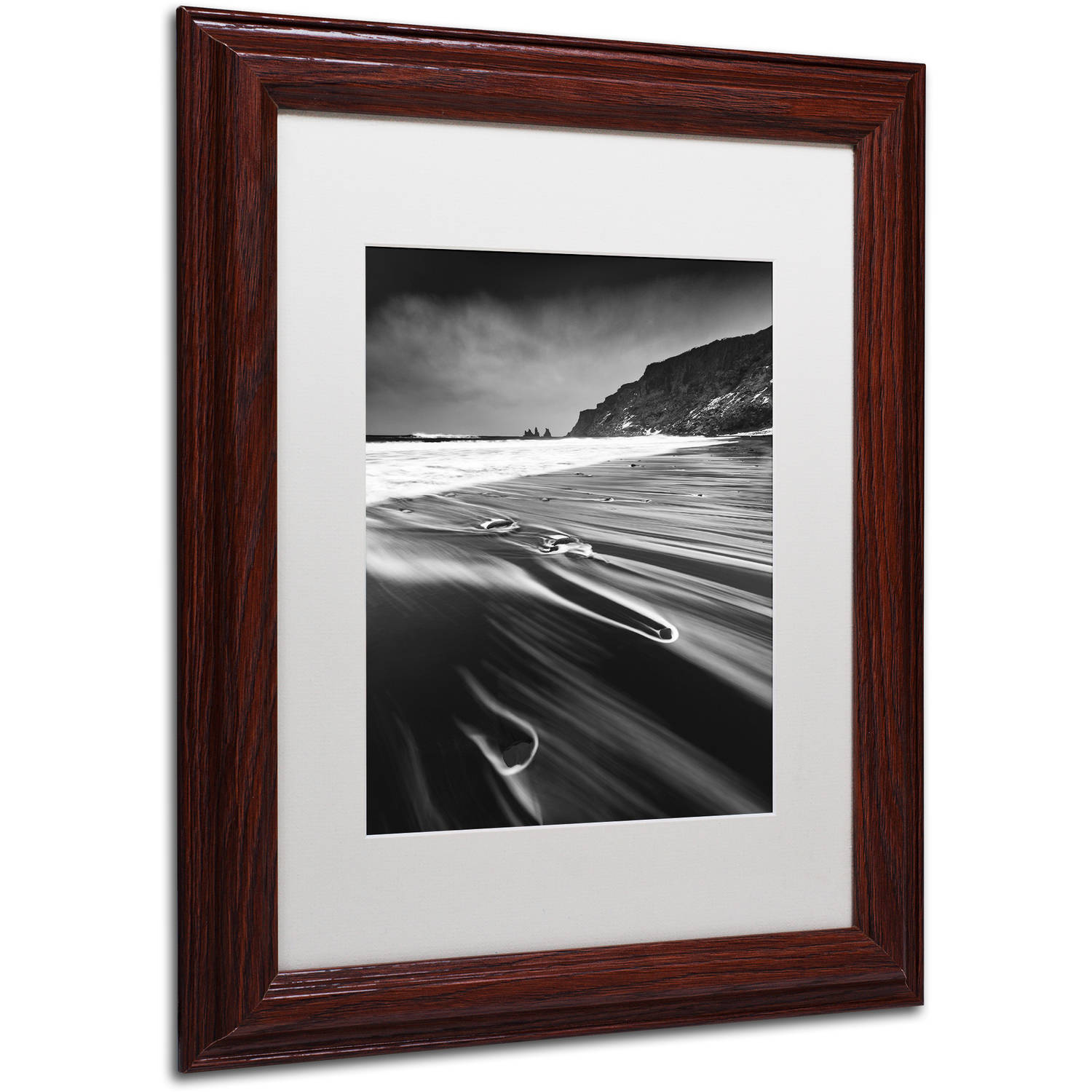 Trademark Fine Art "Veins of the Sea" Canvas Art by Mathieu Rivrin, White Matte, Wood Frame