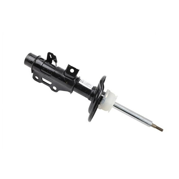 Front Passenger Side Suspension Strut