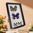 thumbnail image 4 of DIY Photo Frame, Picture Frame With Bracket Easy To Disassemble Plastic Decorative Photo Frame Art Home Decoration For Dried Flowers Shells, 4 of 8