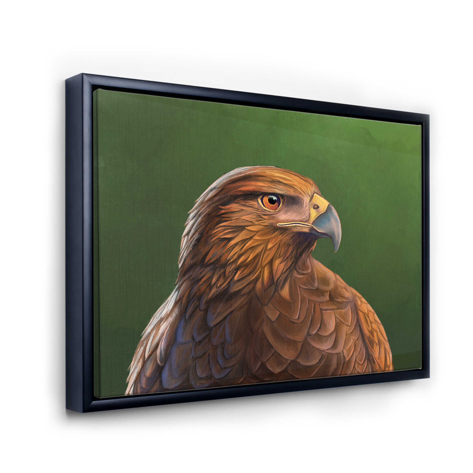Designart 'Close UP Of Harris Hawk Bird' Traditional Framed Canvas Wall Art Print