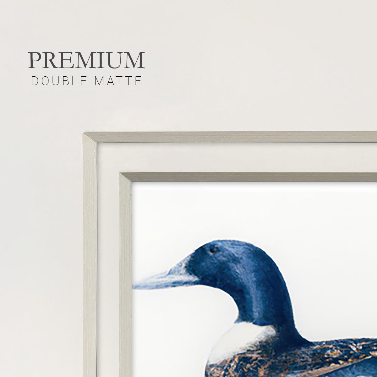 Mallard Blue IIPremium Framed Print