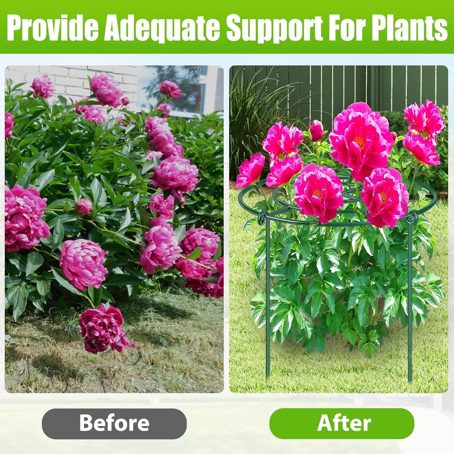 8 Pack Peony Cages and Supports – 11.5" Dia x 16" H Heavy Duty Metal Flower Support Rings for Outdoor Plants, Rose, Tomato, Hydrangea, Strawberry