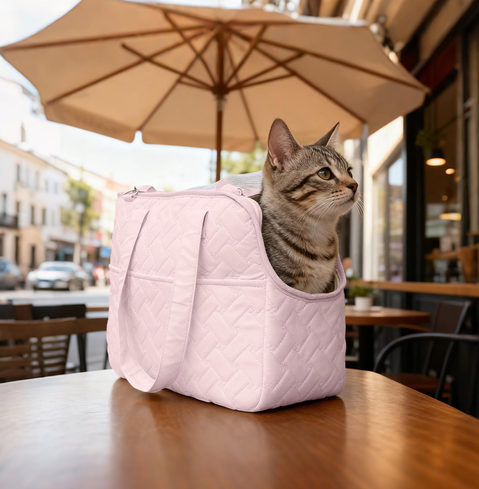 Pet Supplies Portable Shoulder Strap Cat Tote Backpack Lightweight Outdoor Travel with Breathable Mesh Window and Comfort Secure Design