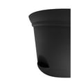 thumbnail image 3 of 6.8IN auto-arrosage PLANT SPA-NOIR, 3 of 5