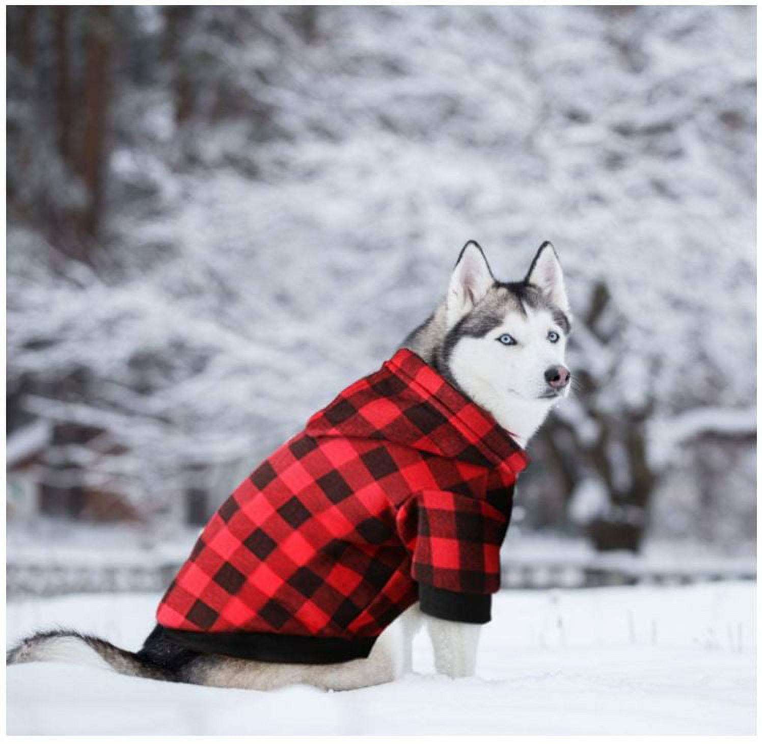 GreenJoy Dog Hoodie Sweatshirt Sweater for Extra Small Dogs Cat Puppy Clothes Coat Warm and Soft
