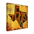thumbnail image 2 of Trademark Fine Art 'Texas Word Map' Canvas Art by Art Licensing Studio, 2 of 3