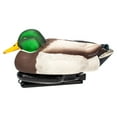 thumbnail image 5 of Avian X Power Swimmer Mallard Drake Motion Duck Decoy with 10+ Hour Battery, 5 of 12