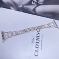 thumbnail image 1 of Adecuado para Apple Watch, Apple Watch SE1-8 Generación, correa de metal con trébol de diamantes de moda, 1 of 6