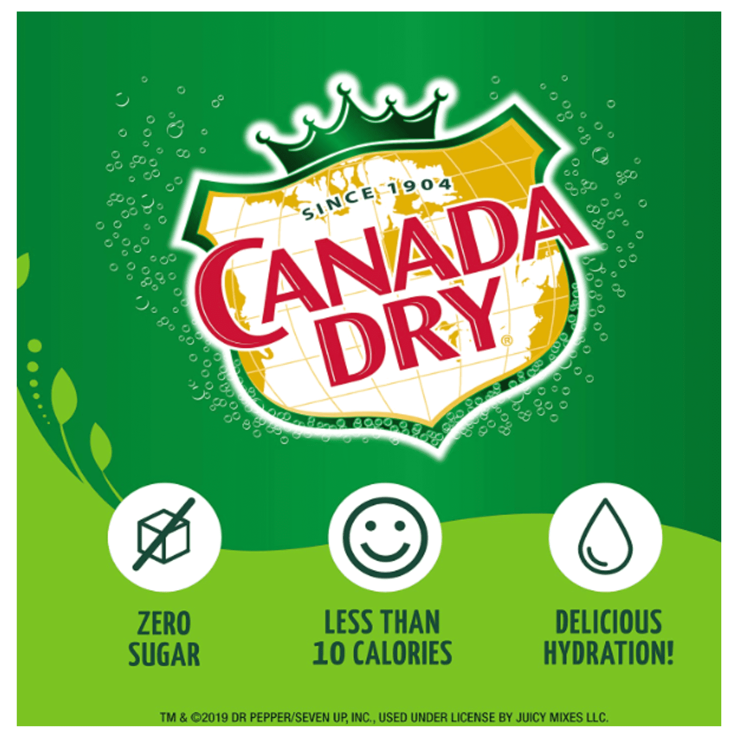 Canada Dry Original Ginger Ale Singles To Go Powdered Drink Mix Sugar-Free Caffeine-free Non-carbonated Water Enhancer Powder Sticks Beverage 6 Sachet Each, Pack of 2 - 12 Total Servings