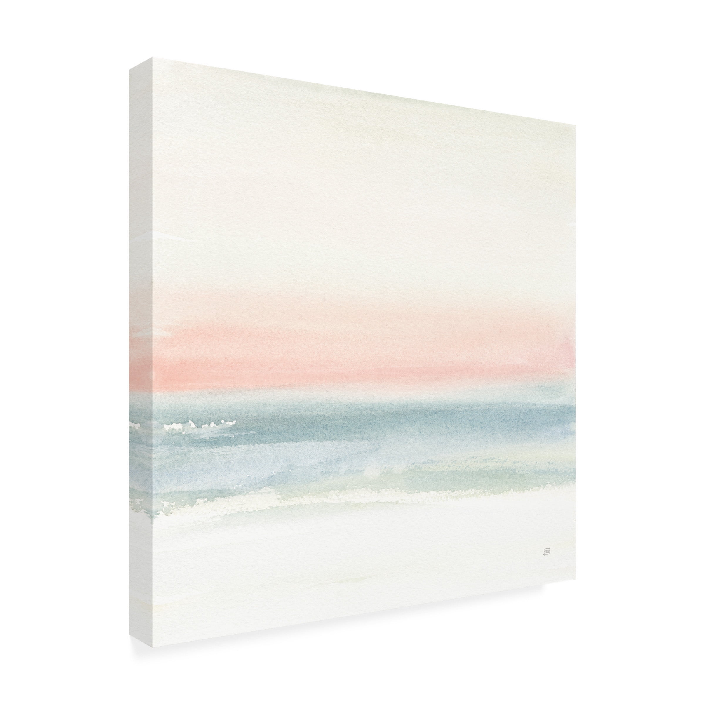 Chris Paschke 'Pink Fog I' Canvas Art