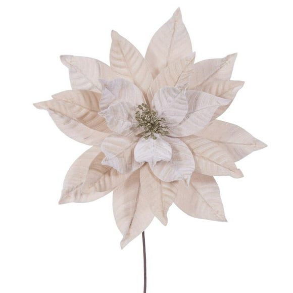 21.5" Champagne Poinsettia 12" Flw 2/Bag