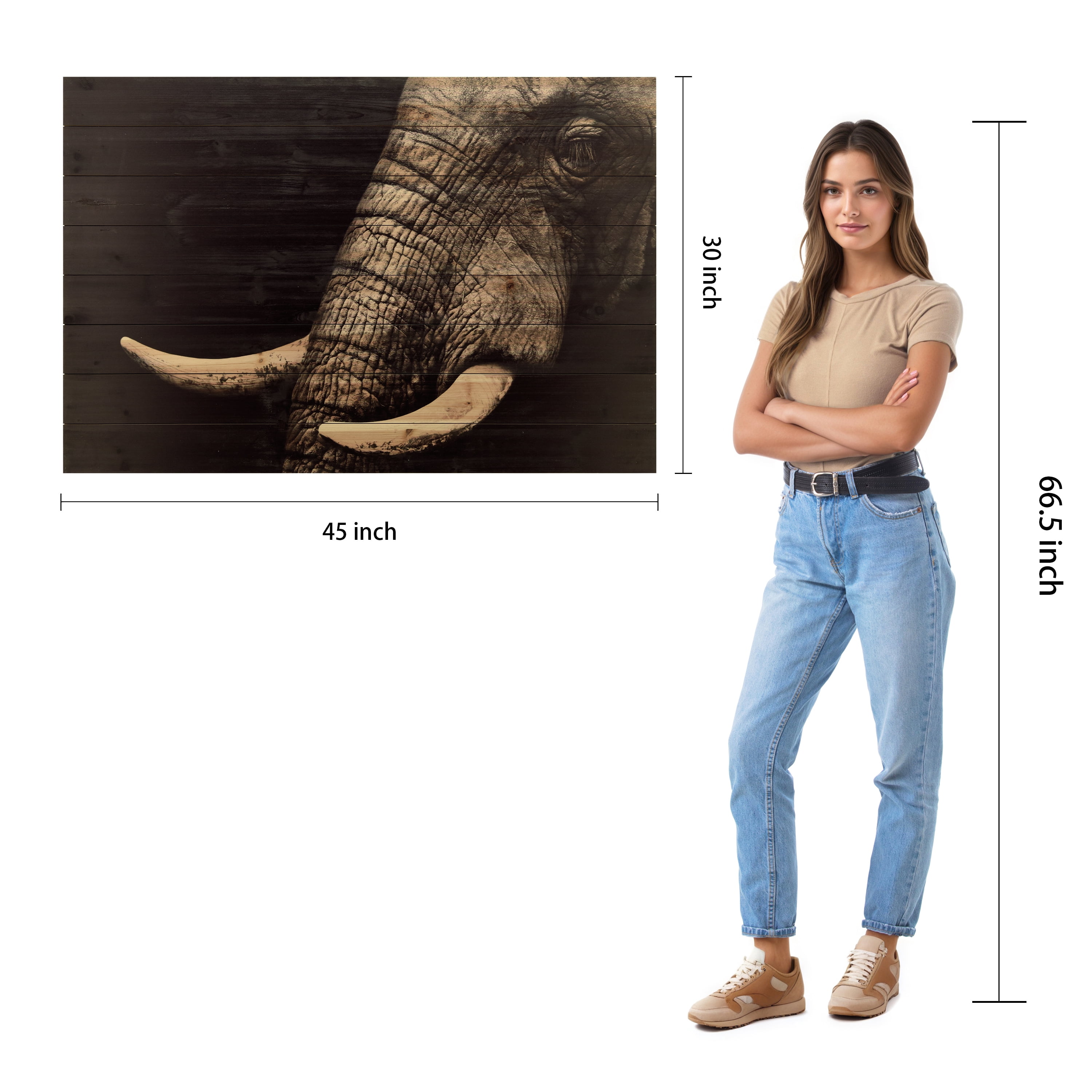 Empire Art Direct Elephant Print on Solid Wood Wall Art, 30" x 45", Ready to Hang