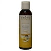 Coconut & Vanilla Blossom Aromatherapy Calming Therapeutic Massage Oil 6 Oz By