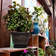 thumbnail image 4 of QCQHDU Plant Pots, 3 Packs 12 inch Planters with Drainage Hole Saucer, Plastic Flower Pots for Indoor Plants Retro Decorative for Outdoor Garden Container Sets(Gold-12 inch), 4 of 6