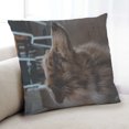 thumbnail image 1 of Ahgly Company Dogs Australian Shepherd Oreiller Intérieur 18 Pouces par 18 Pouces, 1 of 6