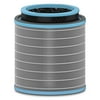 DuPont Allergy & Flu Anti-viral True HEPA Filter for TruSens Large Air Purifier