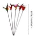 thumbnail image 5 of Juguete para gatos con plumas para jugar con el gato, 50 cm., 5 of 8
