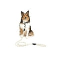 thumbnail image 2 of One Paw, Hiker Reflective Rope Dog Leash, Multiple Colors, 5 ft, 2 of 2