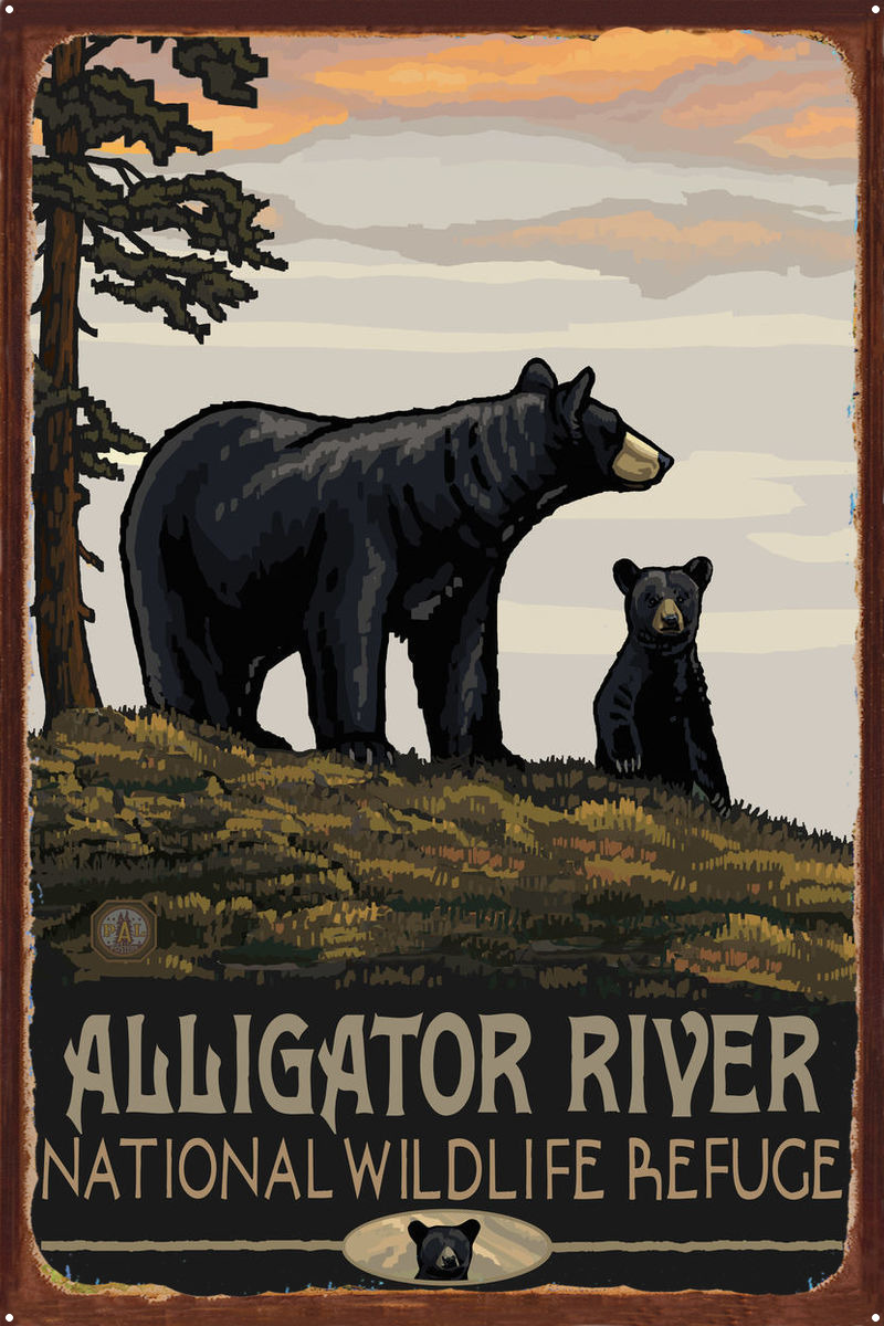 BBFM Alligator River North Carolina Rustic Metal Art Print by Paul A