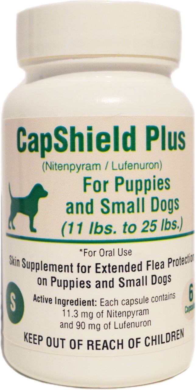 6 Monthly Capsules Flea Egg Killer 45 mg Dogs 2-10 lbs FAST FREE SHIP 