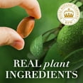 thumbnail image 3 of Herbal Essences bio:renew Argan Oil Of Morocco Repairing Color-Safe Shampoo, 3 of 6