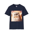 thumbnail image 6 of Selkirk Rex, 6 of 10