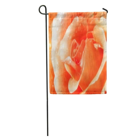 LADDKE Orange Beautiful Peach Colored Rose Water Droplets Pink Beauty Best Garden Flag Decorative Flag House Banner 12x18