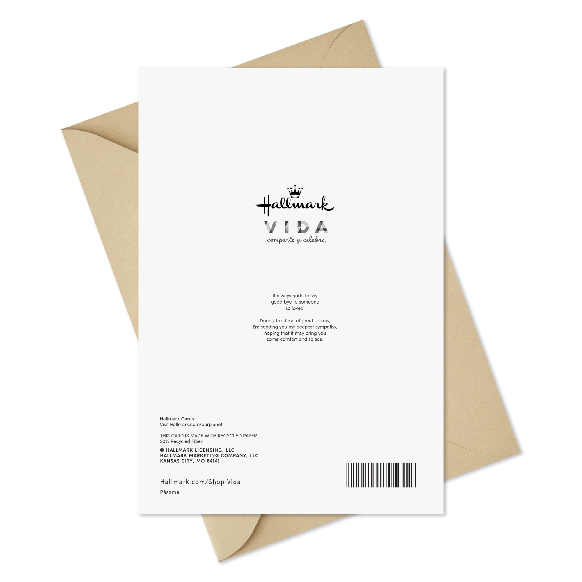 Hallmark VIDA Spanish-Language Sympathy Card (It Always Hurts to Say Goodbye)