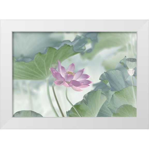 Lu, Binbin 14x11 White Modern Wood Framed Museum Art Print Titled - Lotus
