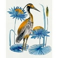 thumbnail image 3 of Wang, Melissa 20x24 Black Modern Framed Museum Art Print Titled - Heron Pond II, 3 of 5