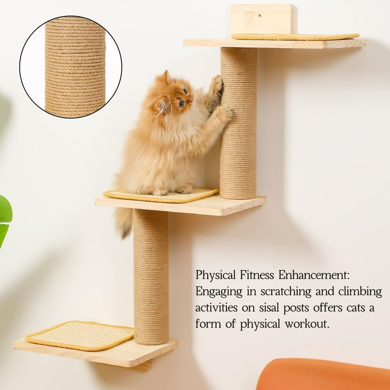 berto cat litter sifter box Cat Litter Sifter