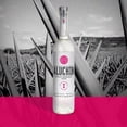 thumbnail image 4 of Pack de 4 Mezcal Aluchín Espadín 750 ml, 4 of 4