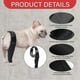 thumbnail image 1 of Dog Knee Brace,dog Leg Brace Hip Support Brace For Cruciate Ligament Injuries, Ccl, Patella Dislocation Or Osteoarthritis, 1 of 4