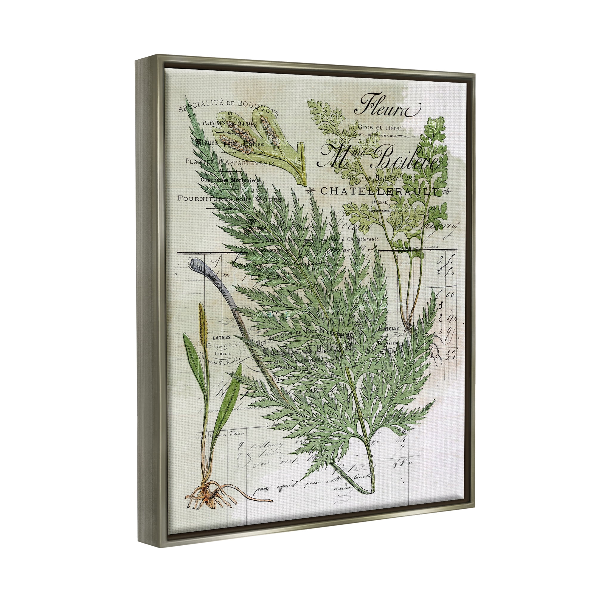 Stupell Vintage Nature Fern Studies Botanical & Floral Painting Gray Floater Framed Art Print Wall Art