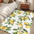 thumbnail image 5 of Lemon Flower Area&nbsp;Rug 3x5ft Watercolor Summer Leaf Non-Slip&nbsp;Washable Square&nbsp;Rugs Soft Felt Indoor Floor Mat for Bedroom Kitchen Living Room Bathroom, 5 of 9