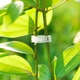 thumbnail image 4 of 50Pcs Plant Support Clips, Garden Support Clips, Garden Clips, Grape Vine, Tomato Vine Vegetables Plants Trellis Clips to Grow Upright Makes Plants Healthier, 4 of 5