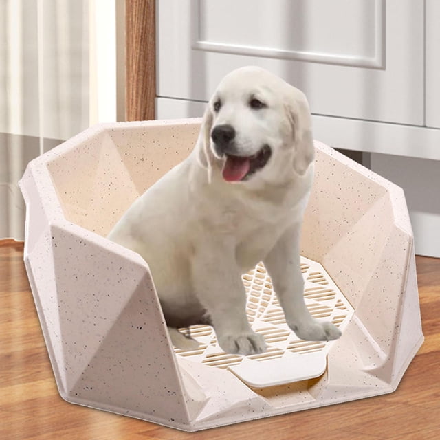 Rejillas de malla para entrenamiento de mascotas Fernando cubierta de arena para perros orinal reutiliza Beige