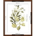 thumbnail image 4 of Art.com Lichen & Leaves II Art Print by June Vess, Brown Frame Wall Art, 17" x 21", 4 of 4