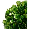 thumbnail image 4 of Faux Boxwood Boxed Topiary, Medium-Color:Green,Style:Botanical, 4 of 6