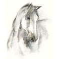 thumbnail image 2 of Harper, Ethan 12x14 Gold Ornate Wood Framed with Double Matting Museum Art Print Titled - Watercolor Equine Study I, 2 of 4