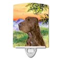 thumbnail image 1 of Carolines Treasures SS1017CNL Field Spaniel Ceramic Night Light, 1 of 1
