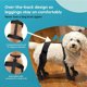 thumbnail image 2 of Calzado con tirantes para mascotas, botines para perros con tirantes |Botas antideslizantes de apoyo para perros, calzado ajustable anticaída para perros, ,M, 2 of 9