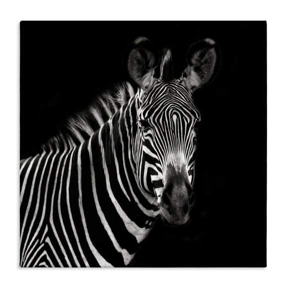 Stupell Industries Modern Jungle Zebra Portrait Canvas Art, 17 x 17, by Susan Bryant