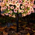thumbnail image 2 of Dtchengua 2 Pack Artificial Topiary Ball Trees With Light for Outdoor, UV Resistant Fake Plants Shrubs Bushes, Realistic Faux Flowers Greenery Spring Deko for Front Porch, Garden, Yard, Patio (Pink), 2 of 7