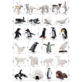 thumbnail image 2 of 26pcs Polar Animals Toy For Kids, Mini Arctic Animals Figurines Set, Birthday Toy Gift, 2 of 5