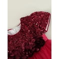 thumbnail image 5 of Bagilaanoe Toddler Baby Girl Party Dress Sequin Short Sleeve A-line Princess Dresses 6M 12M 18M 24M 3T 4T Kid Patchwork Tulle Skirt for Wedding Birthday, 5 of 8