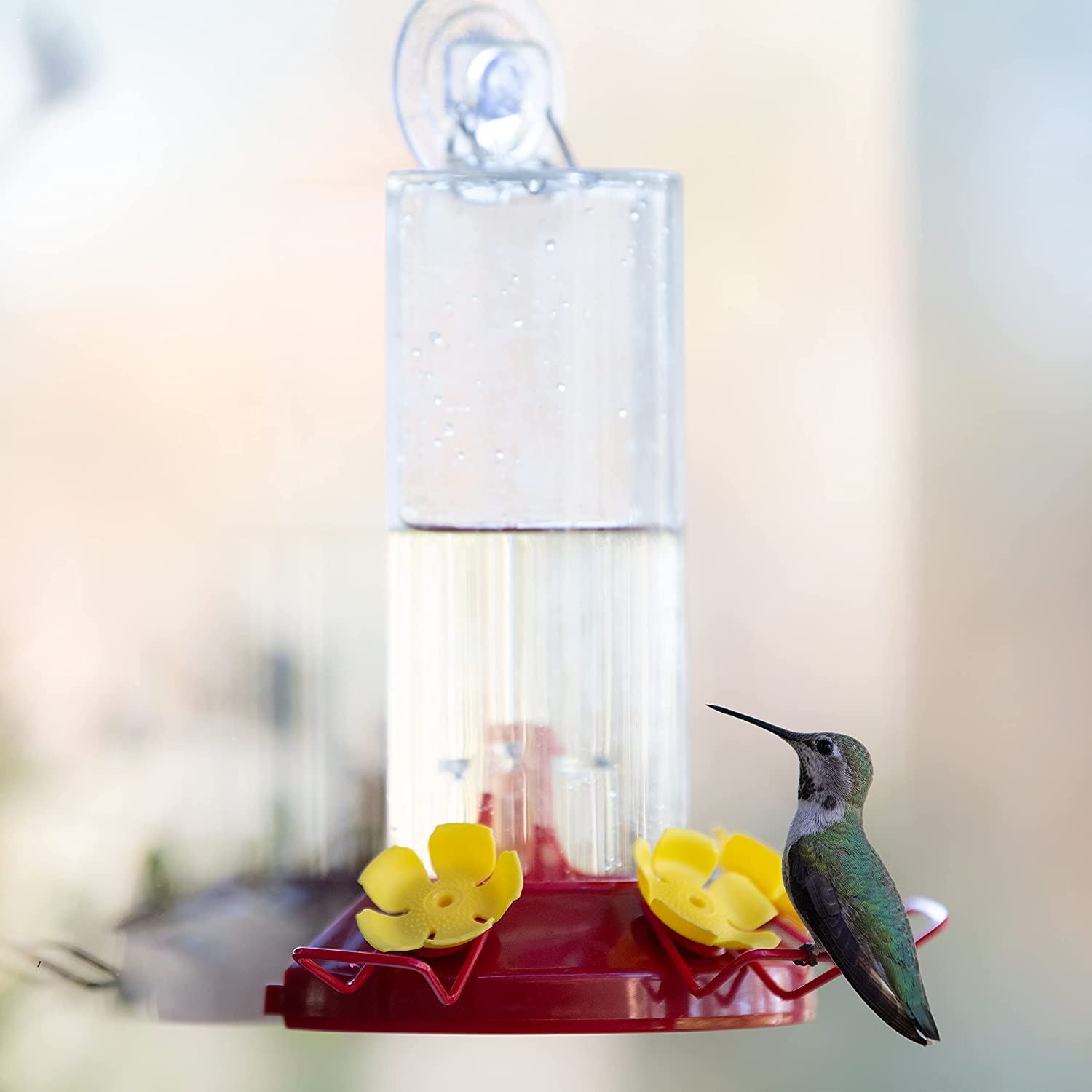Plastic Window Mount Hummingbird Feeder with Perches - 8 oz Hummingbird Nectar Capacity, 217 - Hummingbirds feeders for Outdoors, (Pack of 2)
